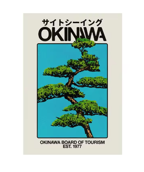 Poster Vintage Okinawa 1977